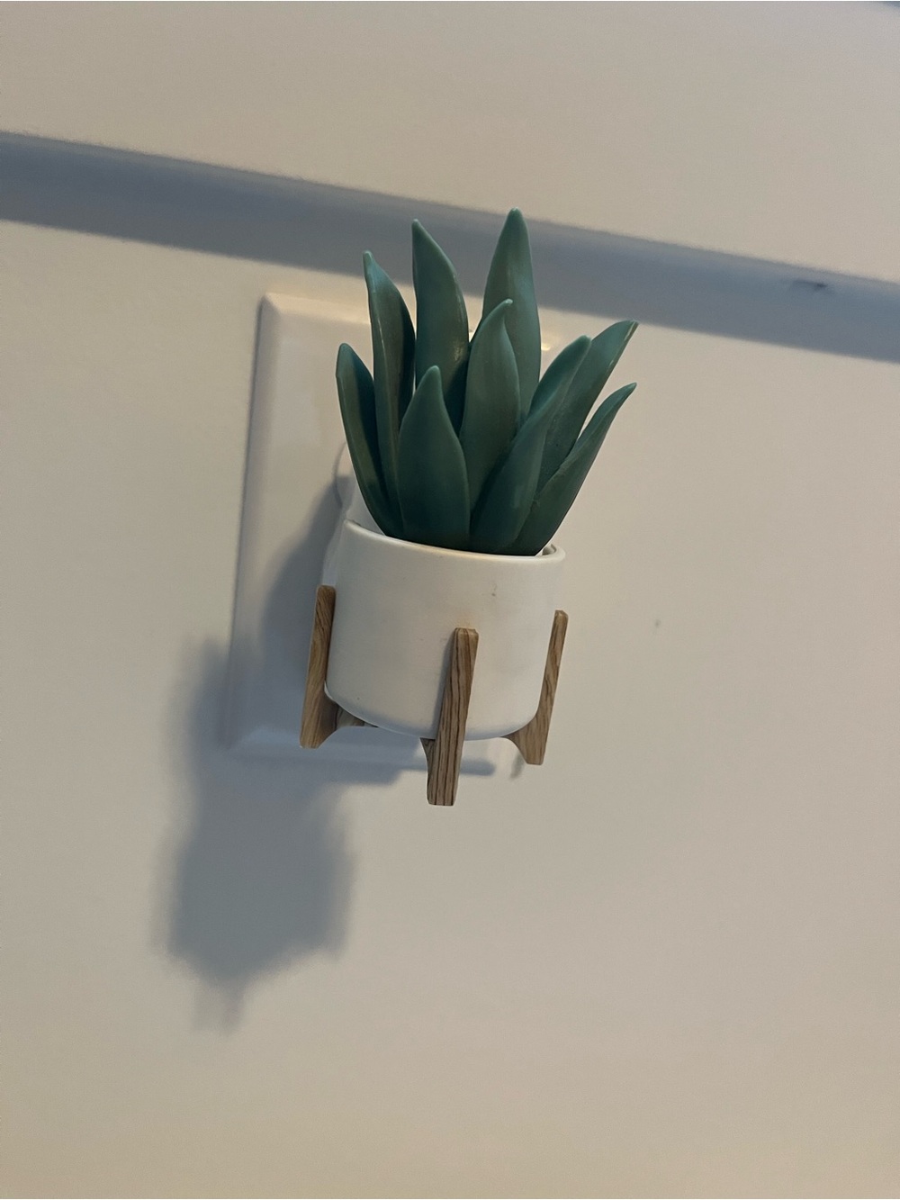 Bath & Body Works Green Faux Succulent Wall Plug